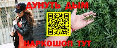 крисы Малгобек