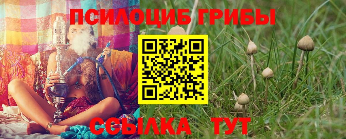 Южно-Сахалинск  Псилоцибиновые грибы GOLDEN TEACHER  Вход с VPN 